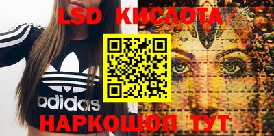 мяу мяу мука Камышлов