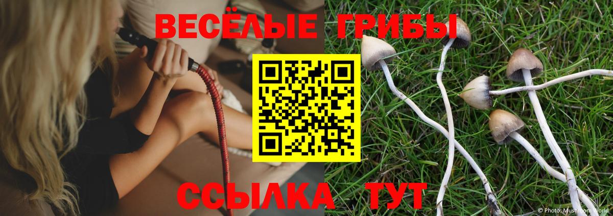 Лениногорск  Галлюциногенные грибы Magic Shrooms  Вход с VPN 
